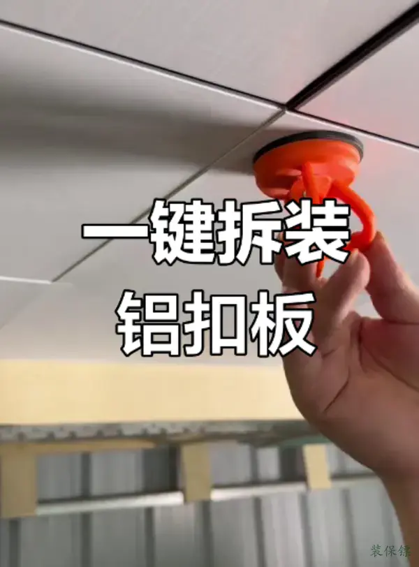 答案图片